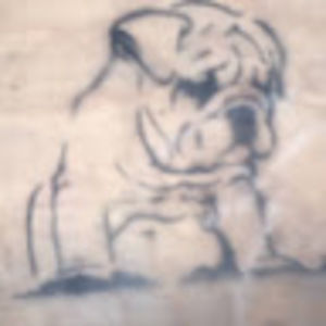 Meet your Posher, Dylan